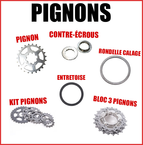 Sélection Black Friday - Pignons