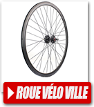 Roue de Vélo de Ville