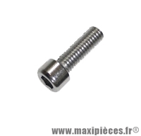 Vis porte bidon chrome diamètre 5x10mm btr - Accessoire Vélo Pas Cher