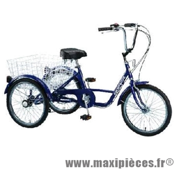 Vélo tricycle adulte 20 pouces bleu 5 vitesses avec panier arrière - Accessoire Vélo Pas Cher - Autres vélos complet